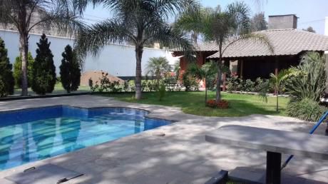 Vendo Linda Casa Calle Los Eucaliptos, Urbaniz El Cortijo, Surco (atras De Audi)