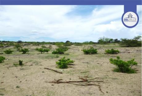 Venta De Terreno Agrícola En Piura - 120 Has