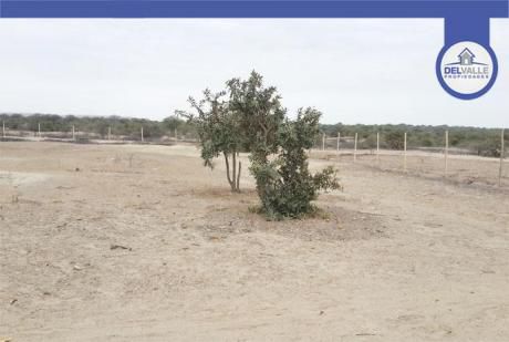 Venta De Terreno Para Desarrollo Inmobiliario En Piura - 20 Has