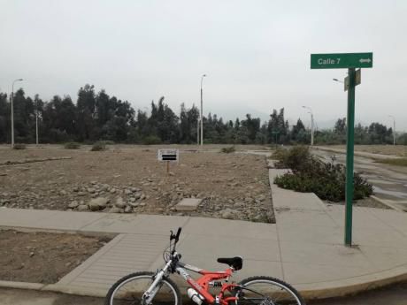 Terreno En Venta En Urb La Floresta - Carabayllo