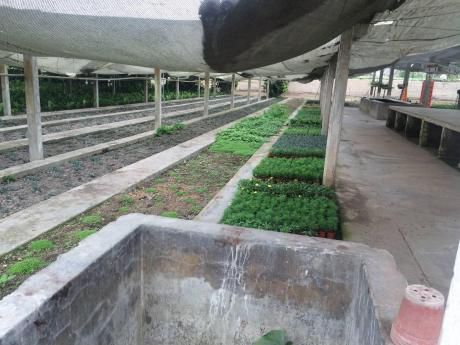 Terreno En Lurin -
