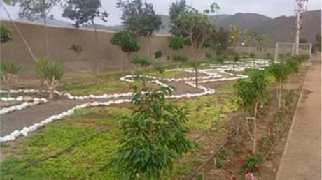 Terreno En Fundo Pradera En Asia