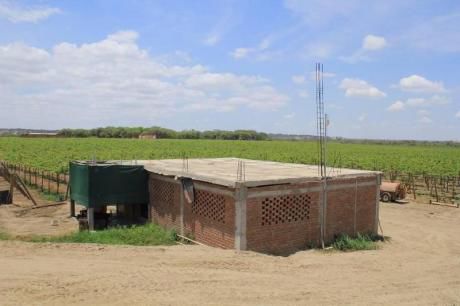 Fundo Agricola 54 Has