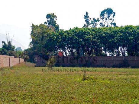 Gran Lote En Pachacamc, Zona Pica Piedra En Muy Buena Ubicación