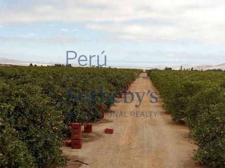 Terreno En Paracas