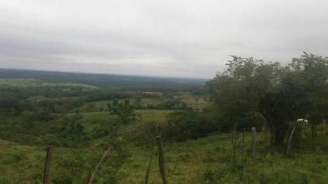 Caaguazu Guayaki Cua 486 Hectáreas