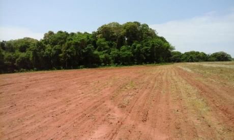 Caaguazu Vendo Una Propiedad De 200has, Sobre Ruta 13