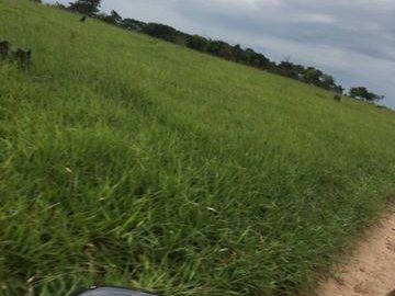 Propriedad Rural En Caaguazu - Guayaki -cua - Yhu.