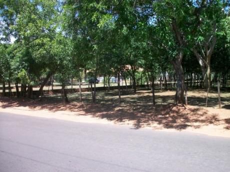 Vendo En Luque Sobre Calle America!!!! 18.500 Mt2