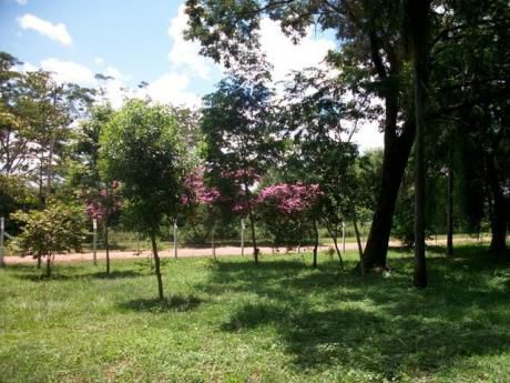 Atencion Cerristas Vendo Terreno En El Parque Azulgrana!!!!!!! Ypane