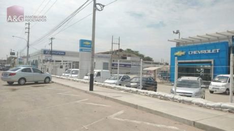 Vendo Terreno En Piura Zona Comercial Fte A Oechsle Real Plaza 292