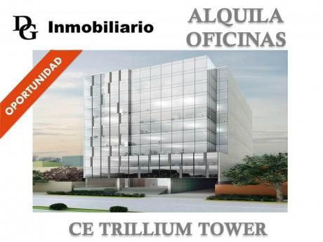 Alquiler Oficina Implementada 83 M2 Ce Trillium Tower - San Isidro