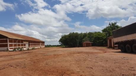 Vendo Silo