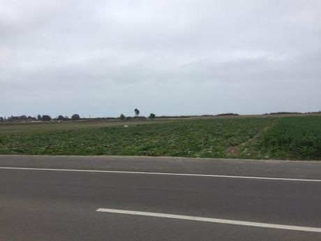 Excelente Terreno En Venta En Chincha Baja, Grifo, Almacen, Playa, Comercio