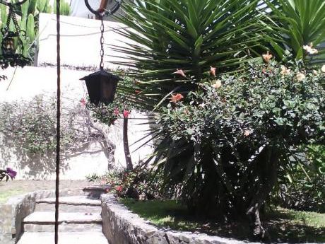 Casa En Av Bolognesi, Frente Club Internacional, Ideal Empresas, Consultorios