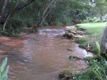 Paraiso En Ytú Caacupé 4 Hectáreas.
