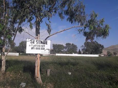 Remate Terreno Asia Bujama Chocaya