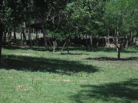 4 Has En Cordillera Para Cabaña Ocasa Quinta