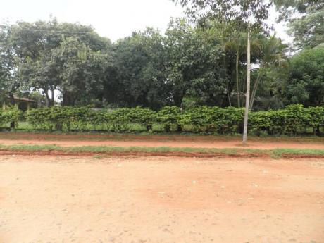 Vendo 3 Lotes En Esquina En San Lorenzo(bo. Mita í).
