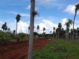 Vendo 15 Lotes En J. Augusto Saldivar, A 600 Mts.
