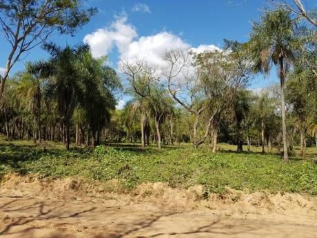 Terrenos En San Bernardino
