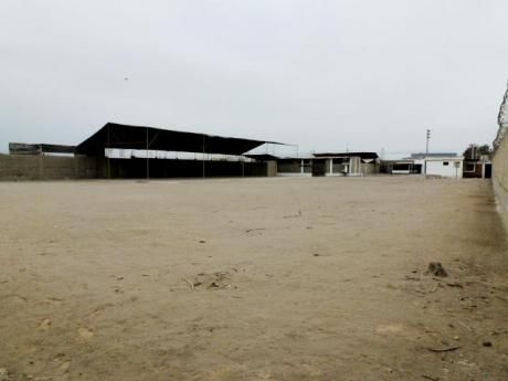 Alquiler Local Industrial En Lurin 5,000 M2 - $1.40 X M2 Inc. Impuestos