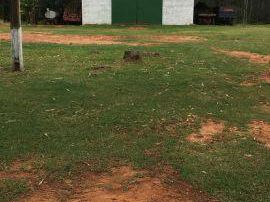 Vendo 10,5 Hctas En Caaguazu