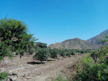Venta De Terreno En Virú, La Libertad