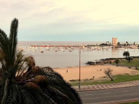 Departamento - Puerto Buceo