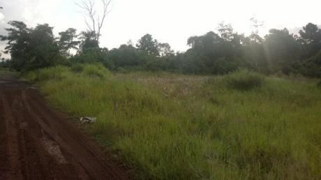 Vendo Hermoso Terreno De 2 Has. En San Juan I
