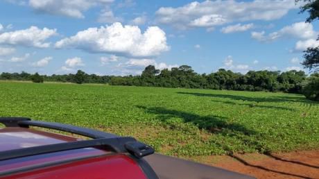 Vendo Campo De 247 Has. En Cnel. Bogado - Itapua