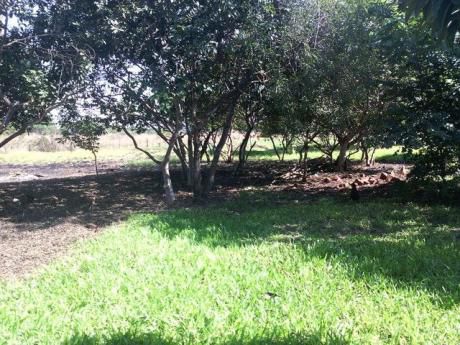 Vendo Terreno De 4.200 M2 En San Juan Del Parana - Itapua