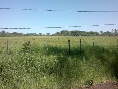 Vendo Terreno De 10.000 M2 En San Juan Del Parana