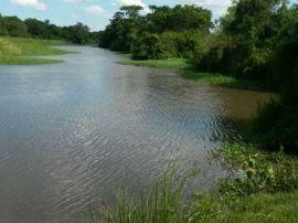 Vendo Campo De 18 Ha. Nueva Italia Con Puzolana