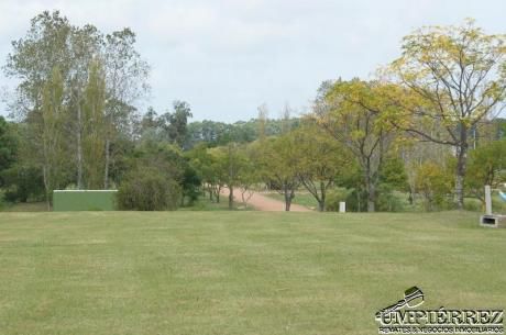 Terreno En Punta Ballena