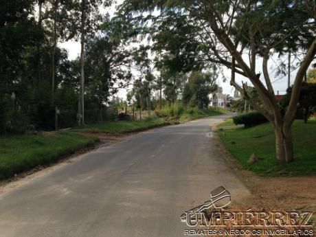 Terreno - Pinares