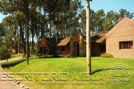 Casa - Pinares