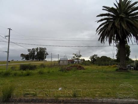 Terreno - Aiguá