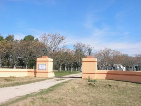 Oportunidad 247 Hs Agrícola Ganadero A 75 Km Del Puente