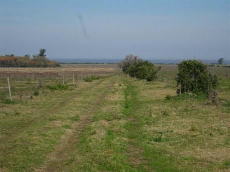104 Has, 80% Agrícola-frutihortícola, Colonia, Uruguay