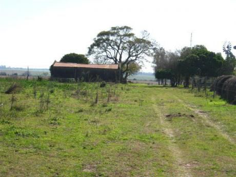 Campo Agrícola/turístico, 70 Hectáreas, A 500 Metros Del Río De La Plata