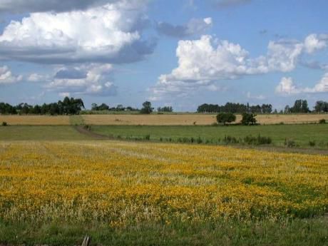 Campo Agrícola, 548 Hectáreas Sobre Ruta