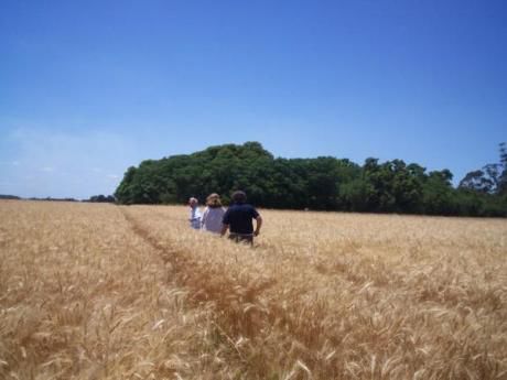Campo Agrícola/turístico, 74 Hectáreas, A 80 Metros Del Río De La Plata