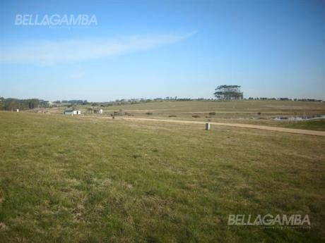 Excelente Terreno En Punta Del Este