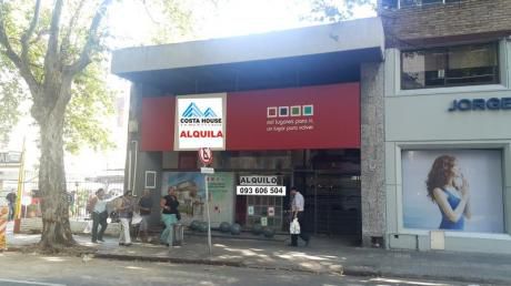 Oficina - Centro