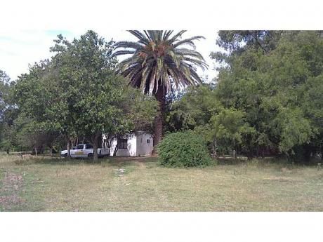 Chacra En Colonia Del Sacramento