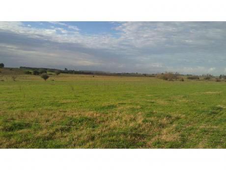 Campo En Colonia Del Sacramento