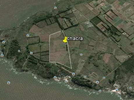 Punta Espinillo, Producción Horticultura, Sobre Dos Ríos
