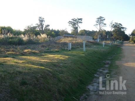Terreno - Pinares