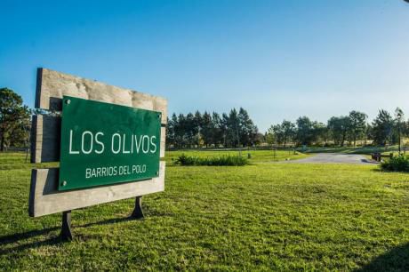 Terreno - Los Olivos